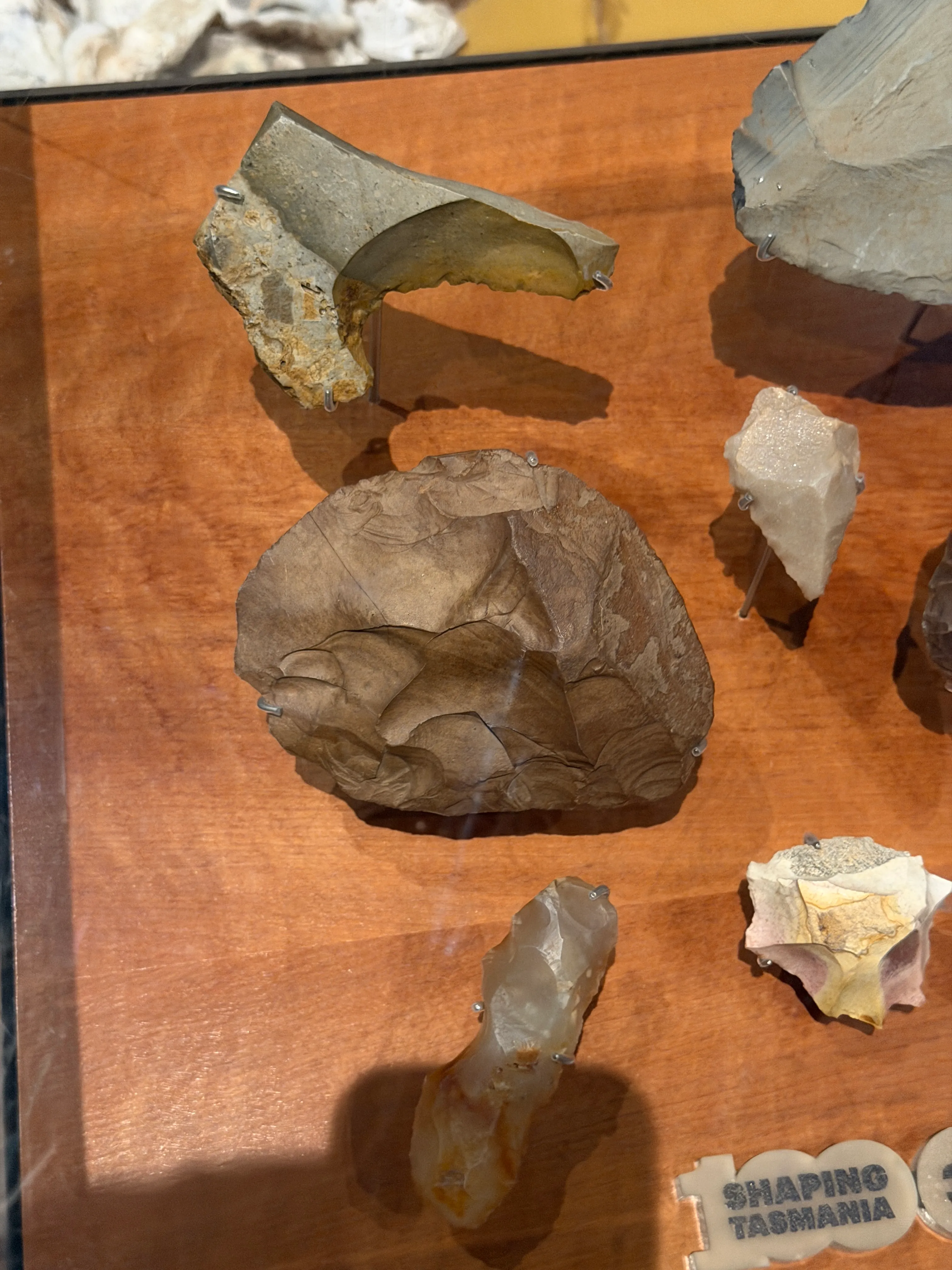 Tasmanian Museum and Art Gallery