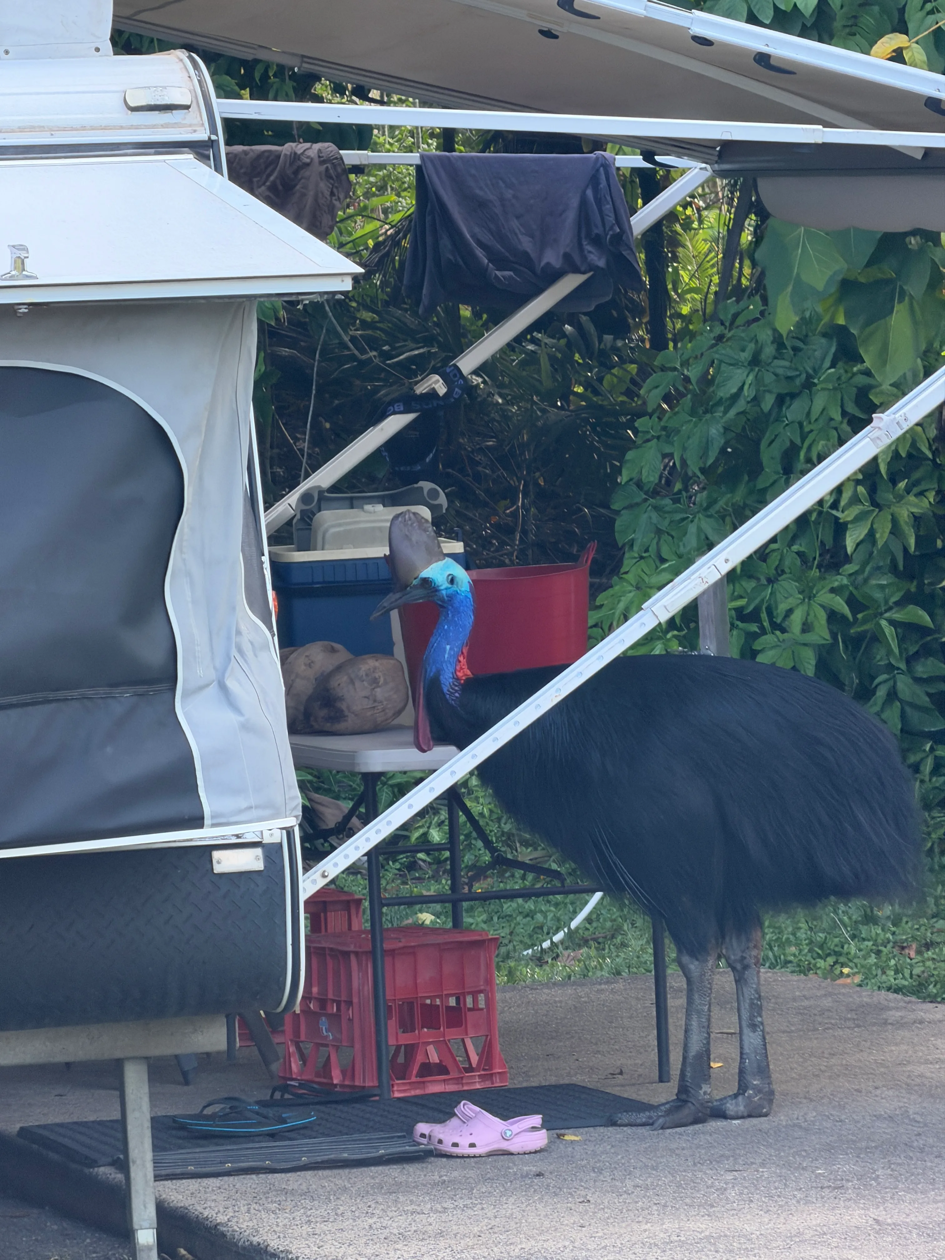 ”Guys wake up!” says David